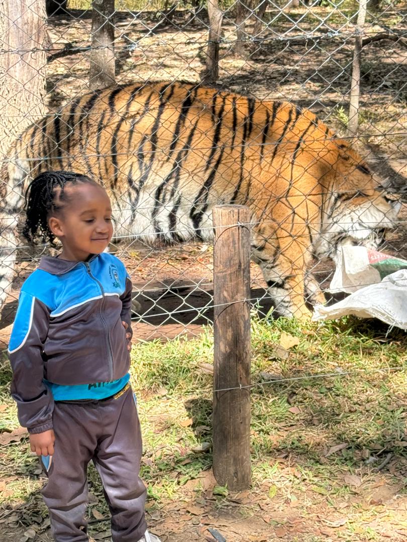 Harmony Junior School